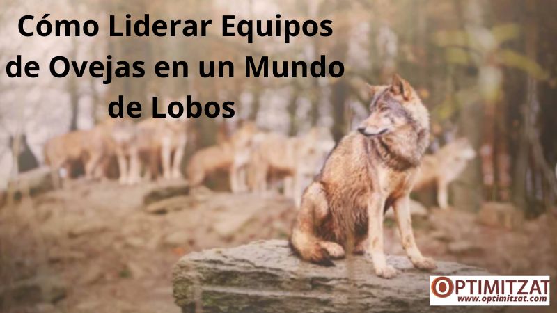 🌍 El Liderazgo que Cambia el Juego: Cómo Liderar Equipos de Ovejas en un Mundo de Lobos 🐺🐑